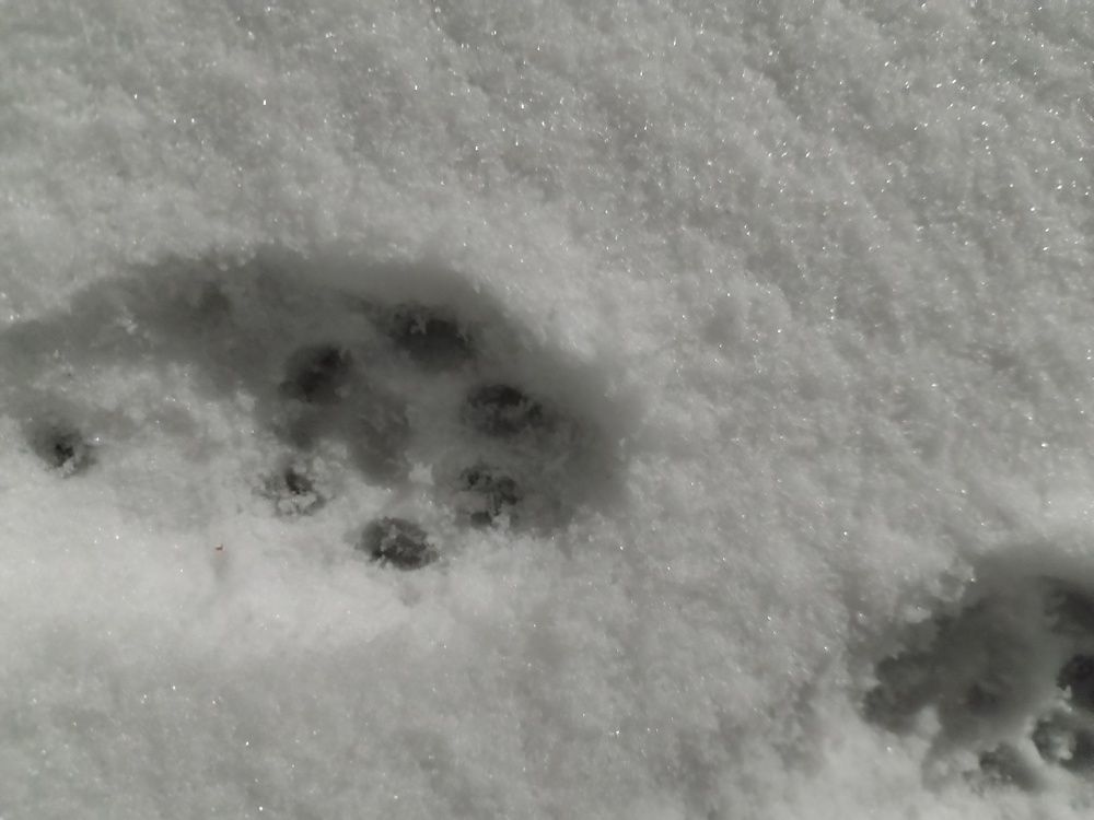 Photograph by Юлия Ю.