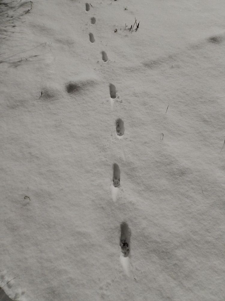 Photograph by Юлия Ю.