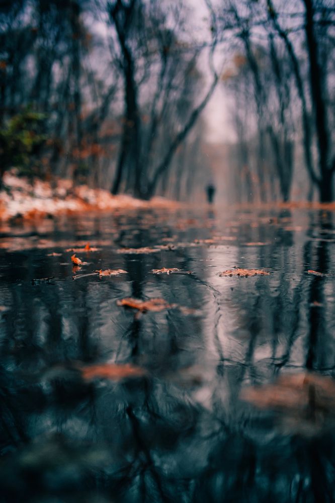 Photograph by Подосинников Максим