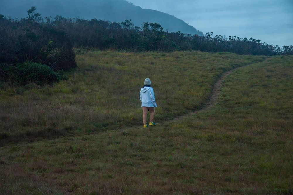 Photograph by Chamara Sulakkhana Polwatta Siriyalage