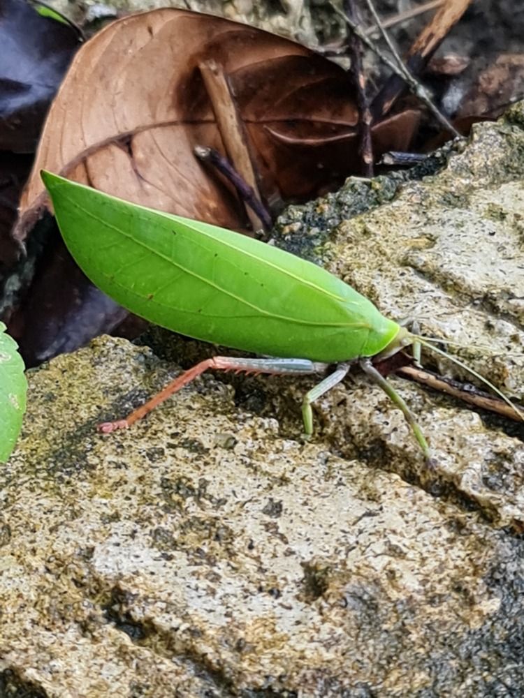 Photograph by Вадим Богатиков