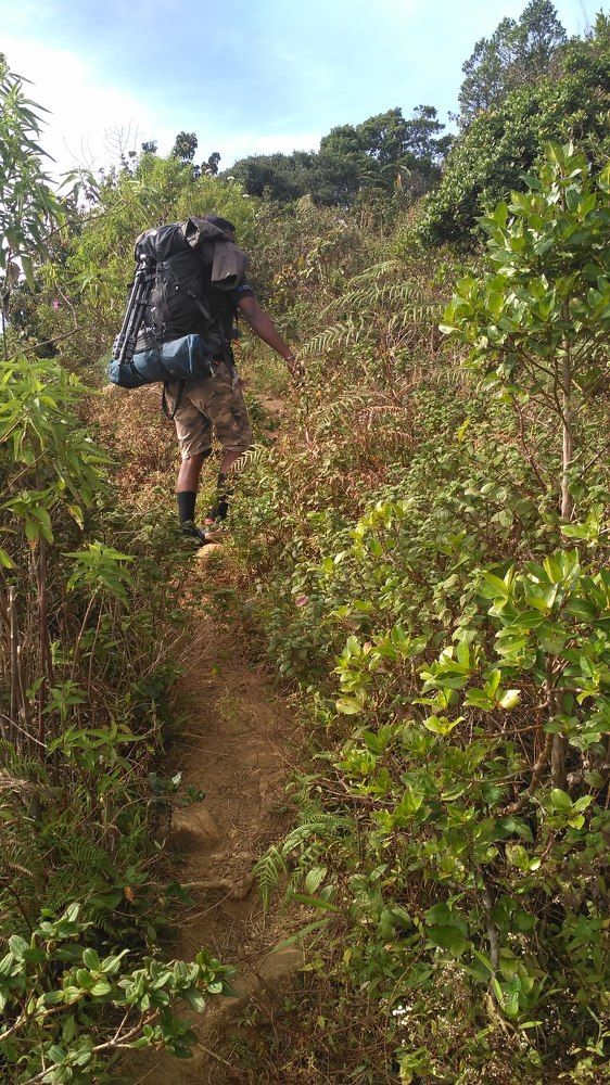 Photograph by Chamara Sulakkhana Polwatta Siriyalage