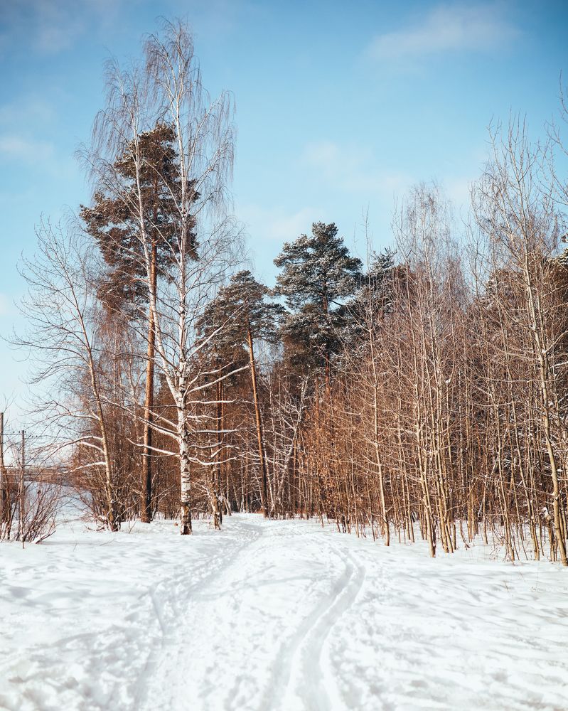 Photograph by Мария Кислякова