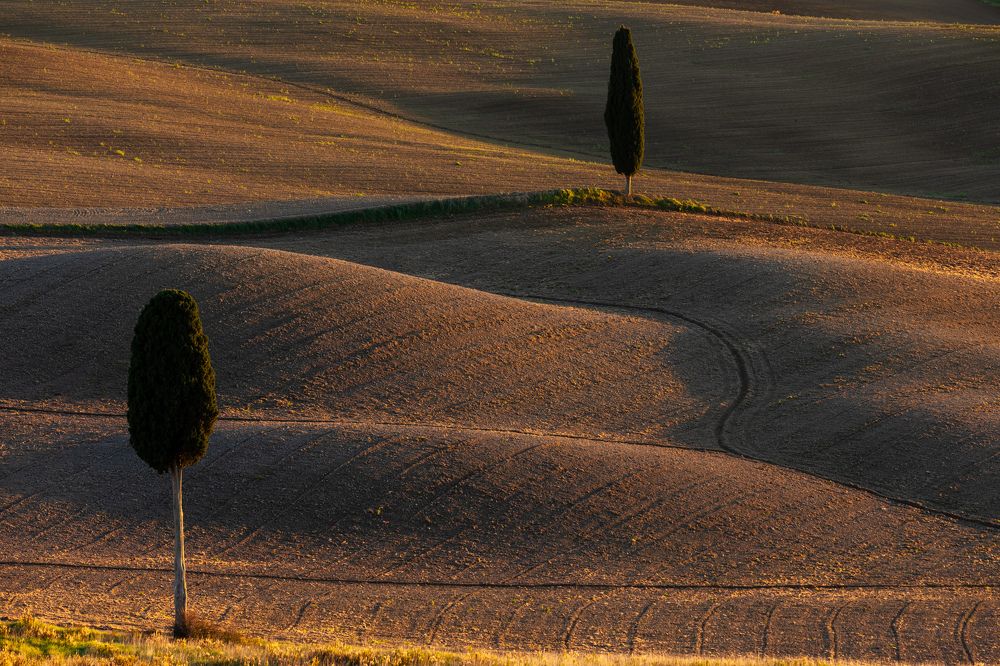 Photograph by Евгения Чех