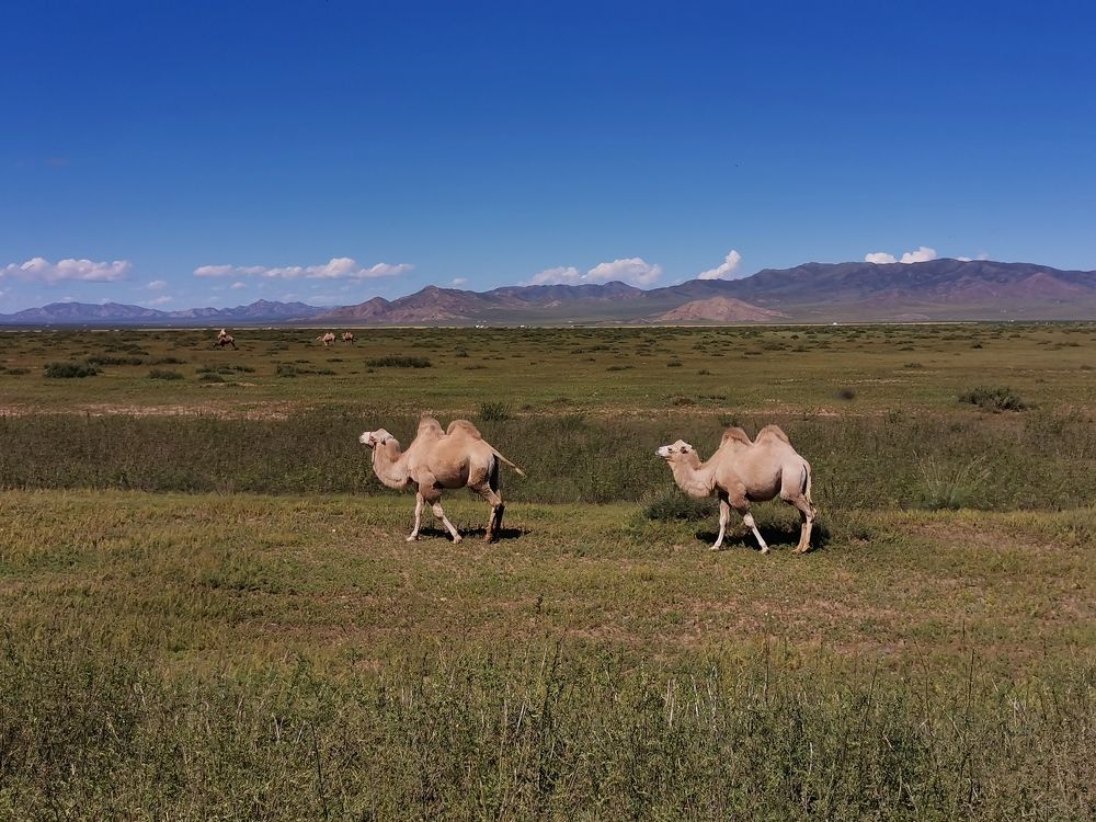 Photograph by Елена Есипова