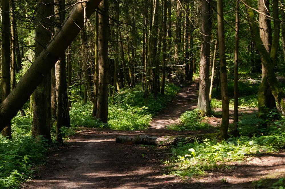 Photograph by Павел Герасимов