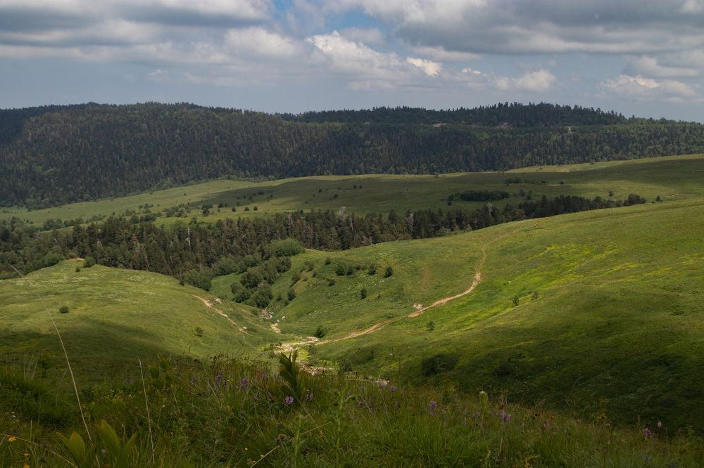 Photograph by Павел Герасимов