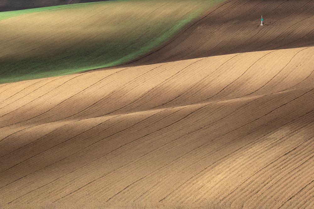 Photograph by Евгения Чех