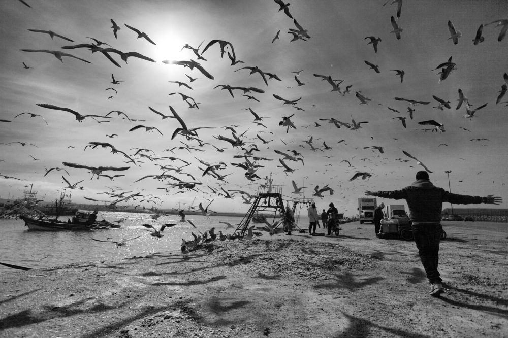 Photograph by PERESHEIN ANDREY