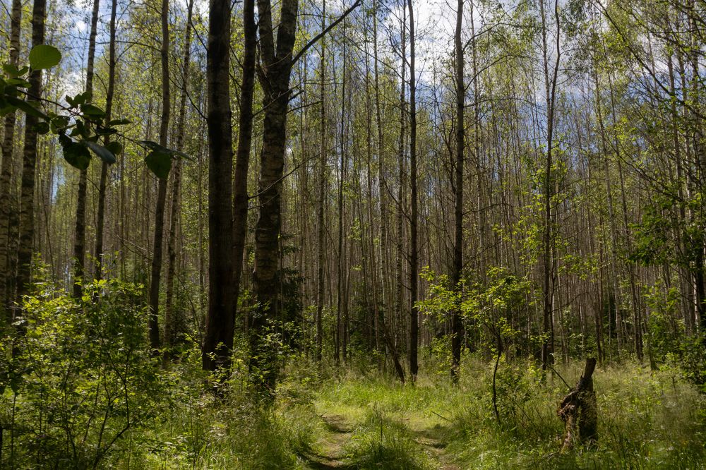 Photograph by Павел Герасимов