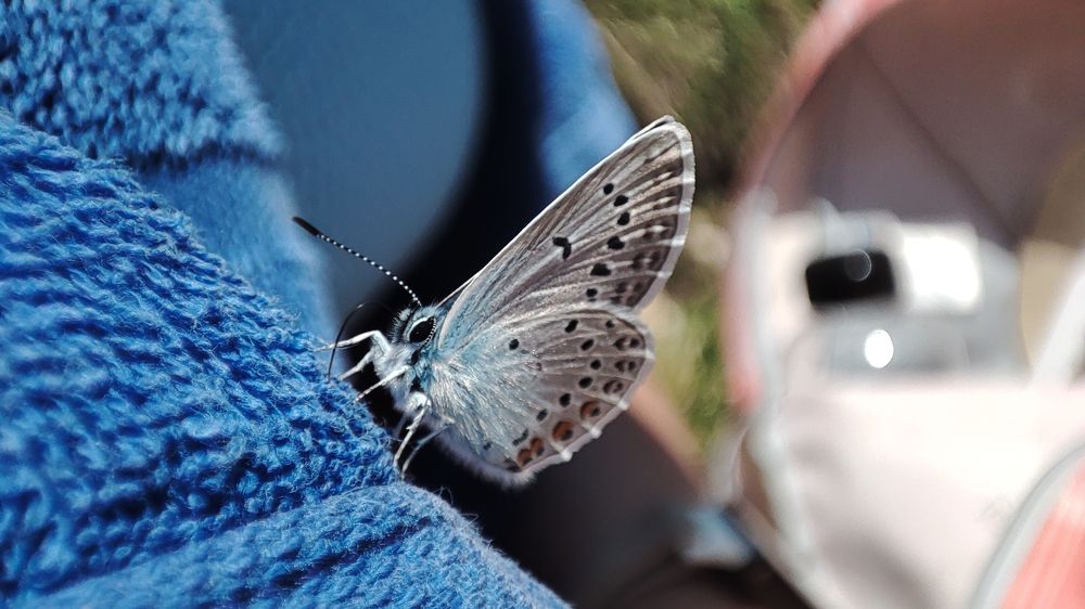 Photograph by Павел Герасимов