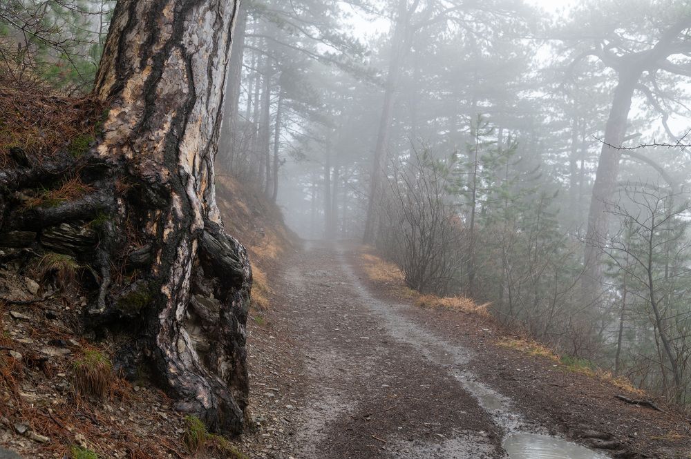 Photograph by Екатерина Крючкова