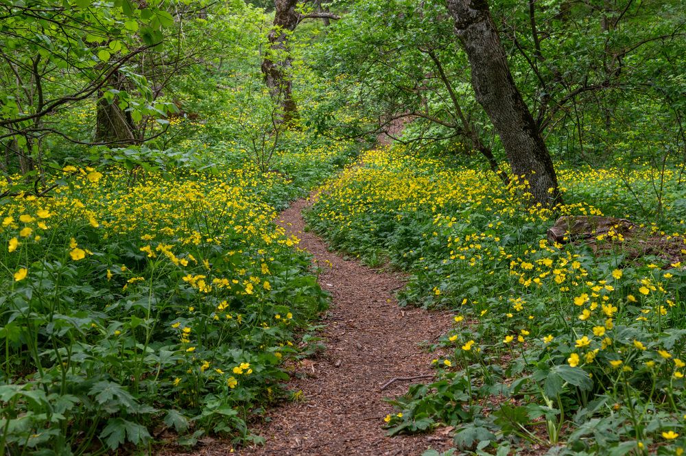 Photograph by Екатерина Крючкова
