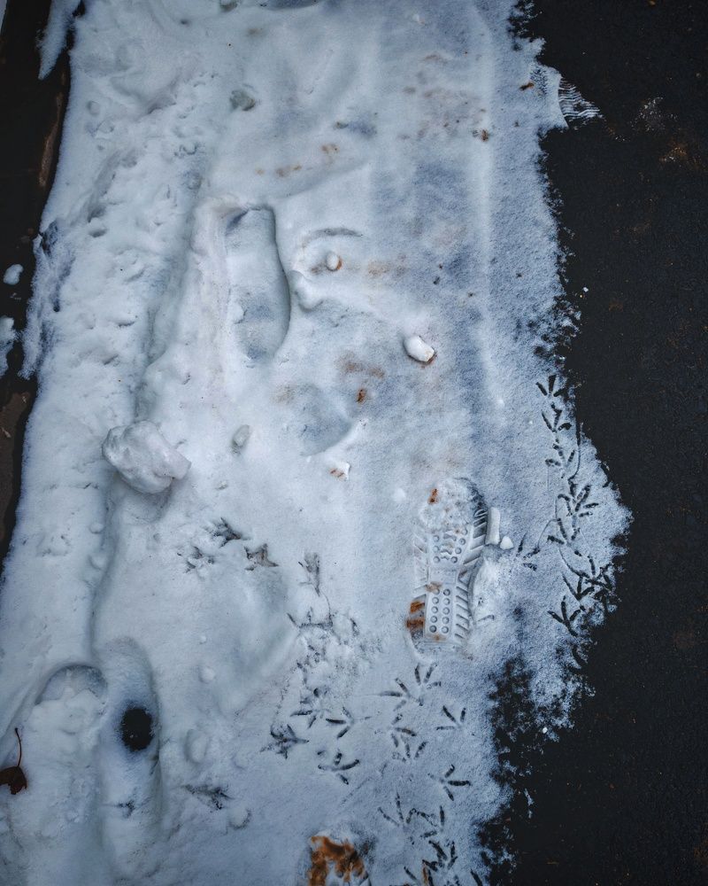 Photograph by Kanat Amre