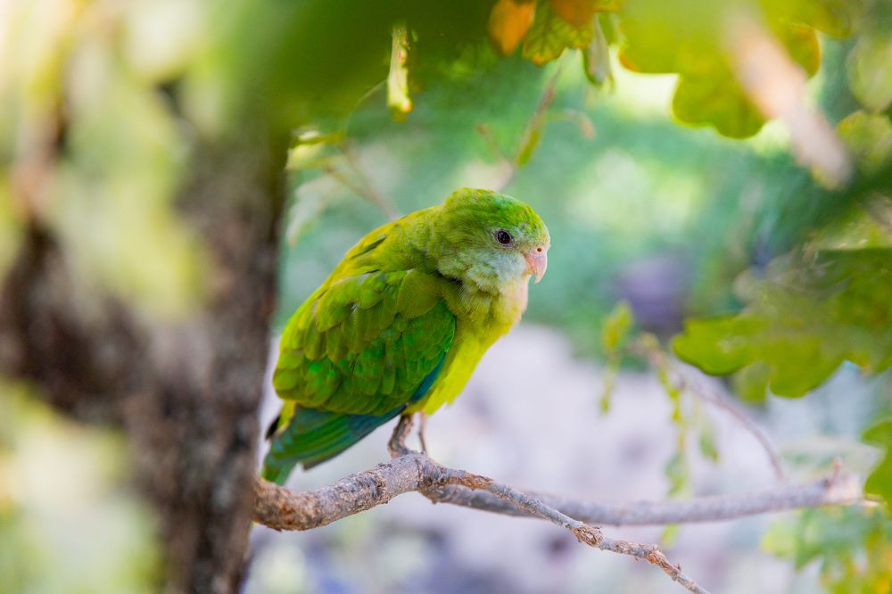 Photograph by Мария Раздорова