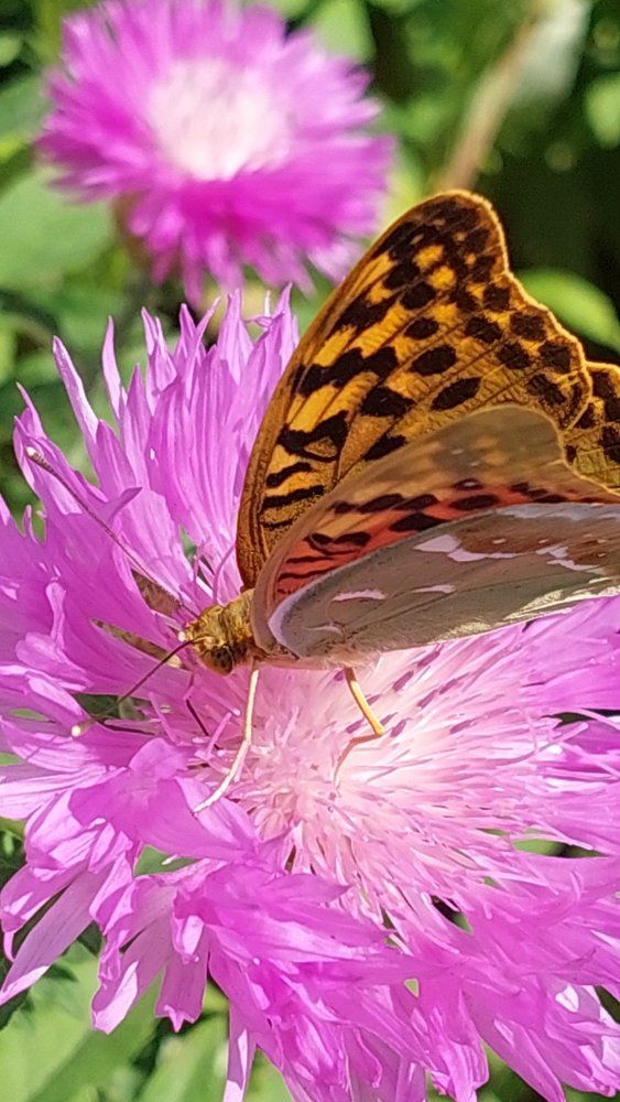 Photograph by Svitlana Usatenko