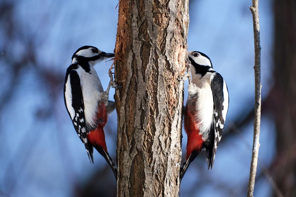 Photograph by Багурский Алексей