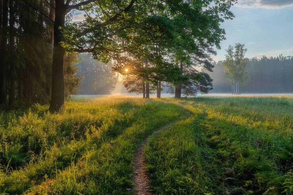 Photograph by Alexander Pashenichev