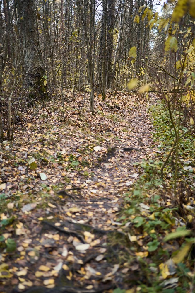 Photograph by Евгений Кириллов