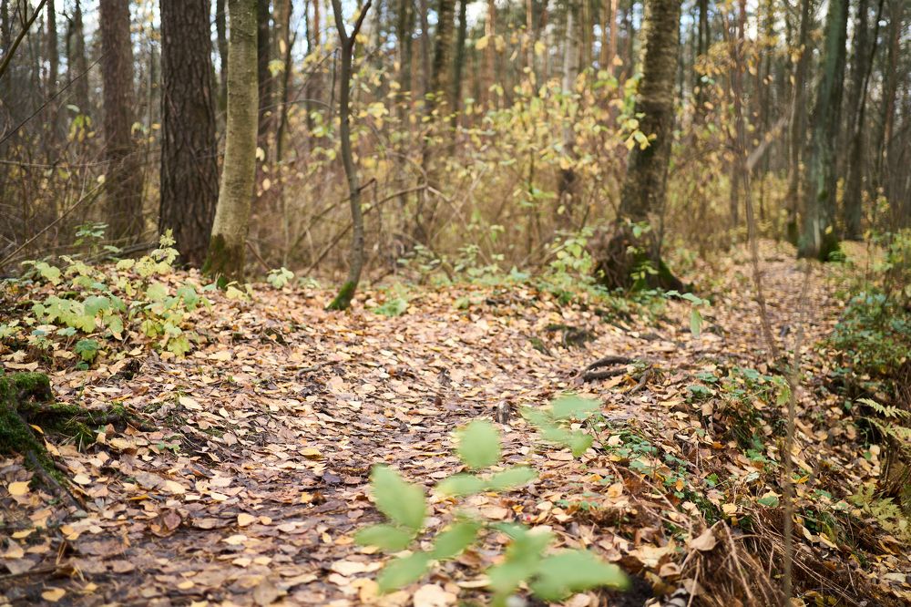 Photograph by Евгений Кириллов