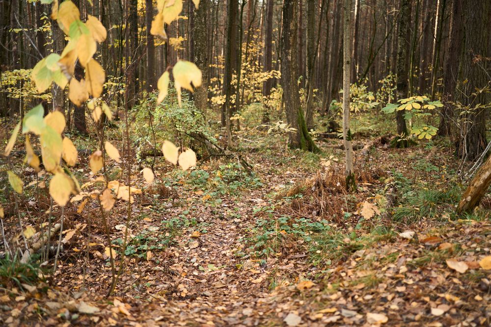 Photograph by Евгений Кириллов