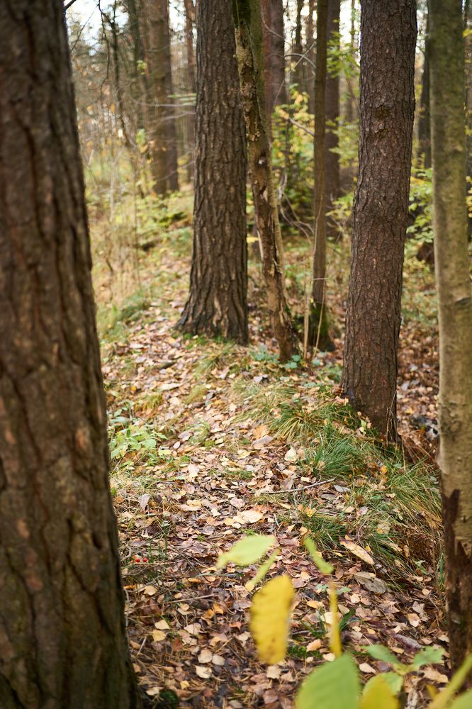 Photograph by Евгений Кириллов