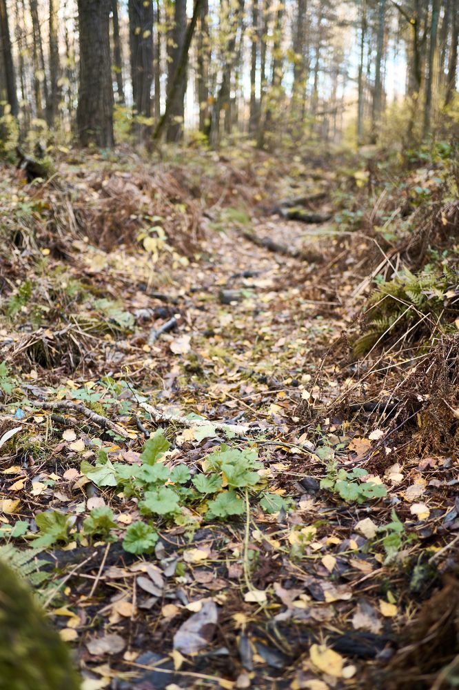 Photograph by Евгений Кириллов