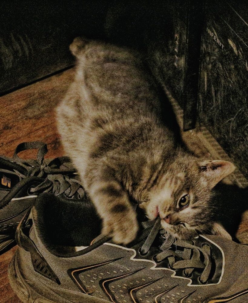 Фотография автора Сергей Яковлев