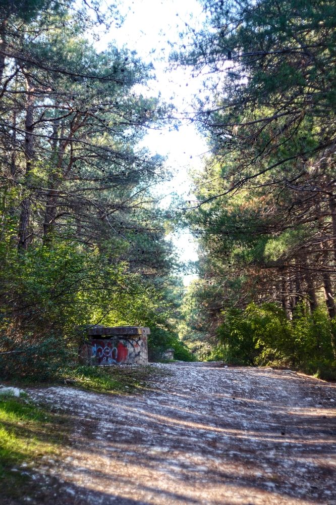 Photograph by Magic Helios