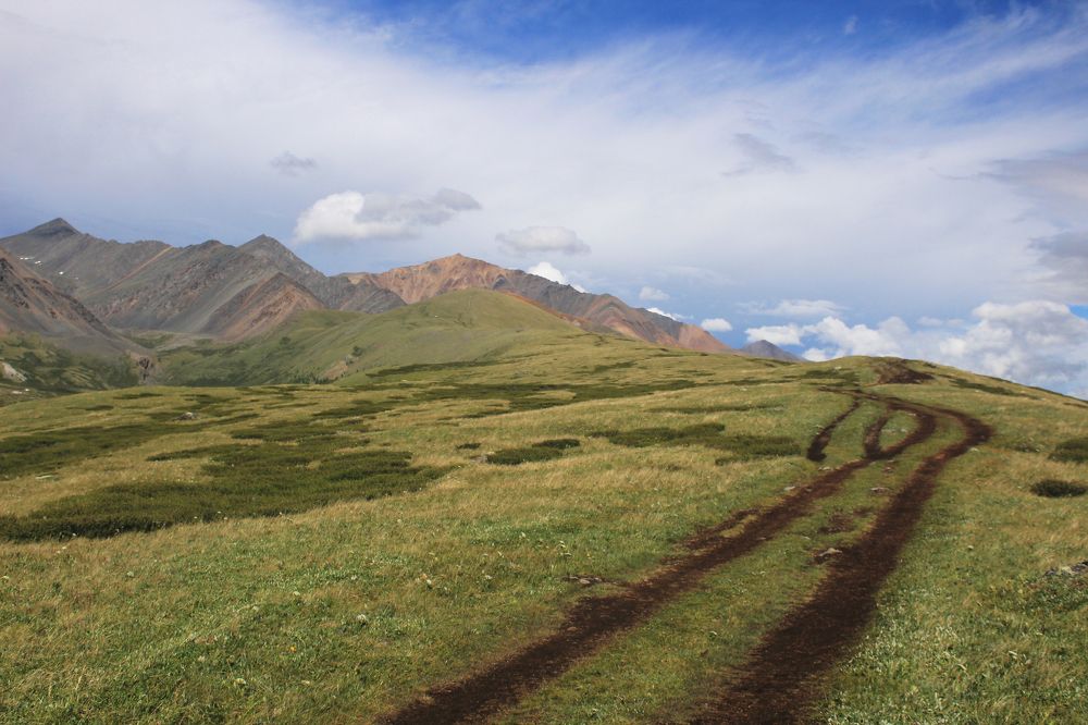 По дороге в облака