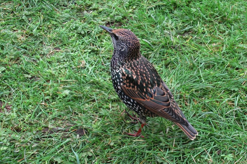 Photograph by Ольга Березовская