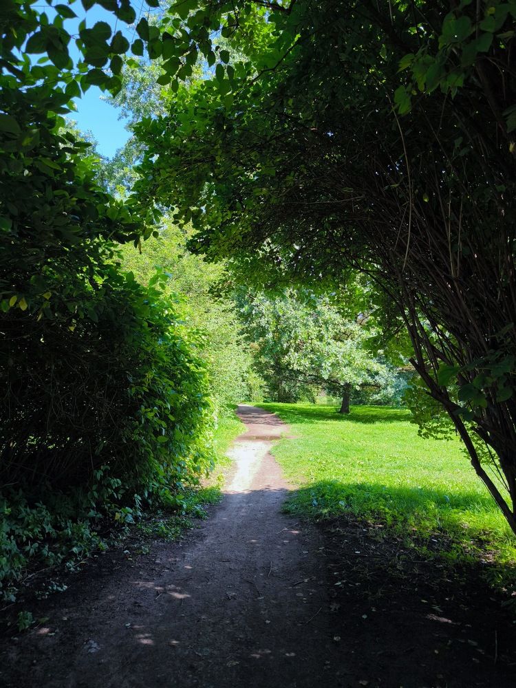 Photograph by Ирина Ященко