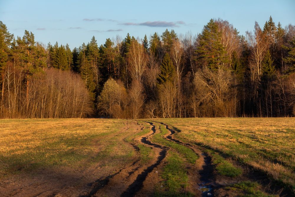 Фотография автора Alexander Pashenichev