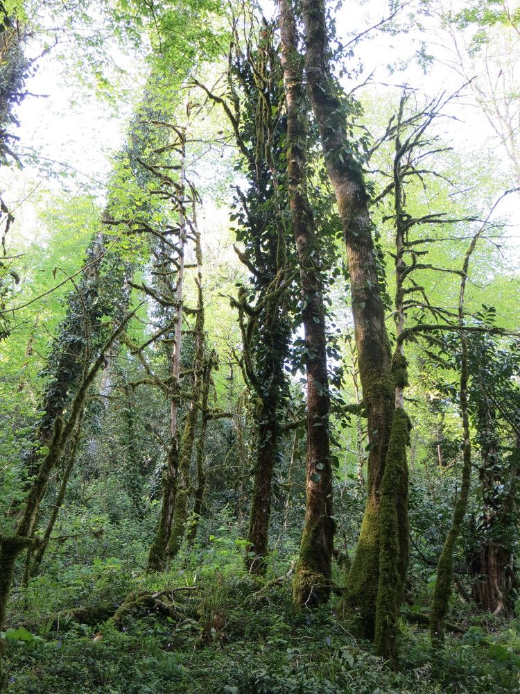 Photograph by Татьяна Поминова