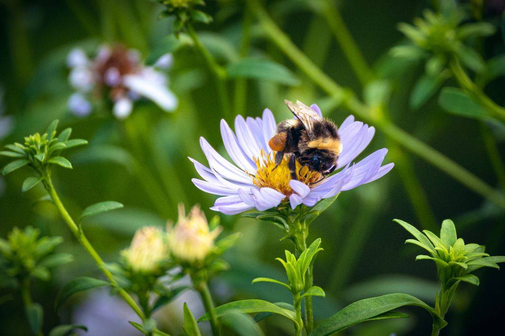 Photograph by Сергей Филатов