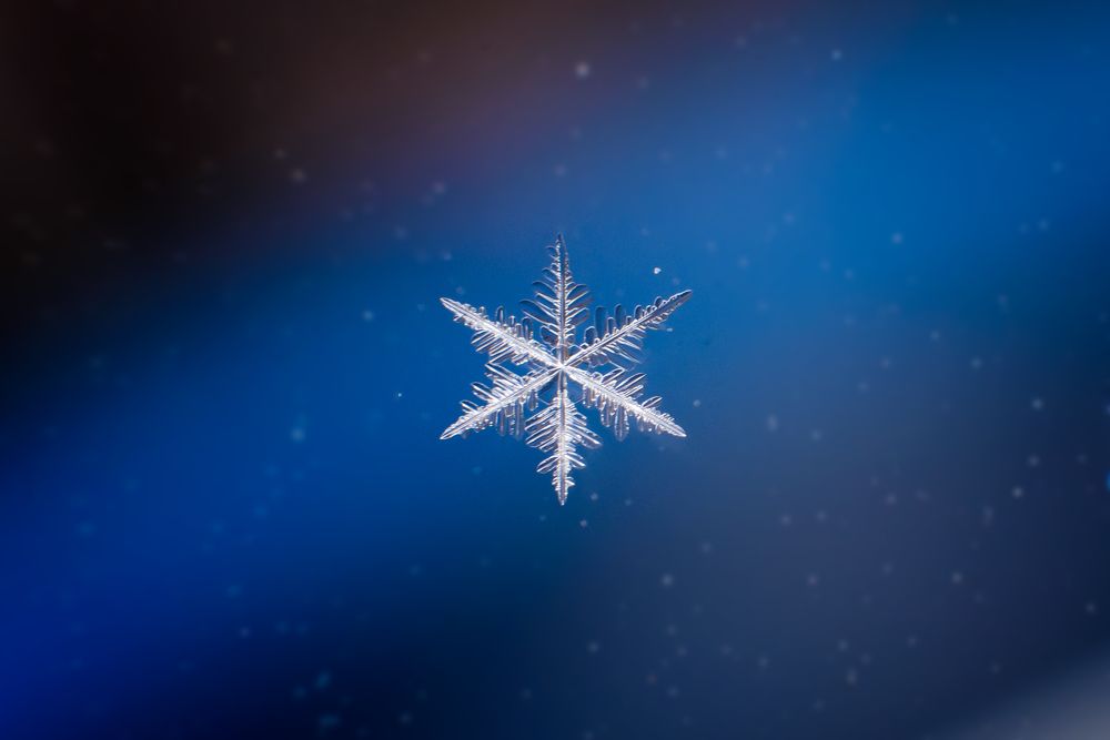 Photograph by Иванюшкин Никита