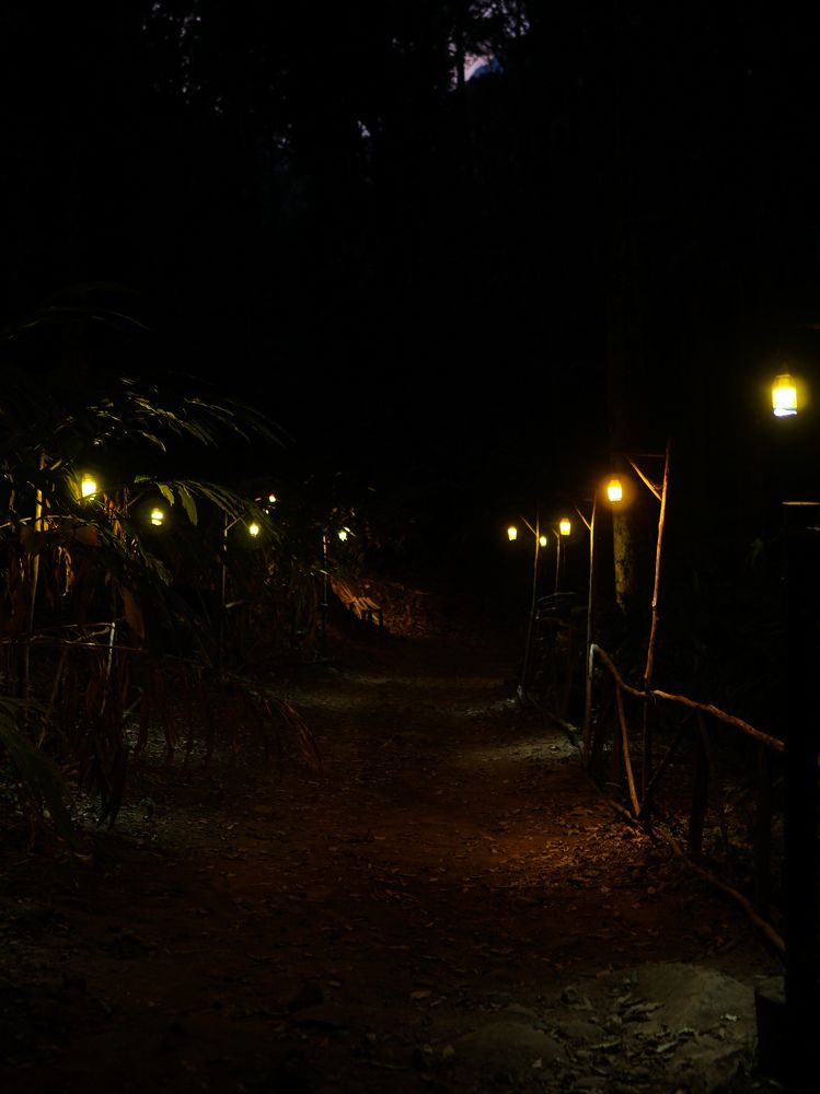 Photograph by Muhammed Junaid A P