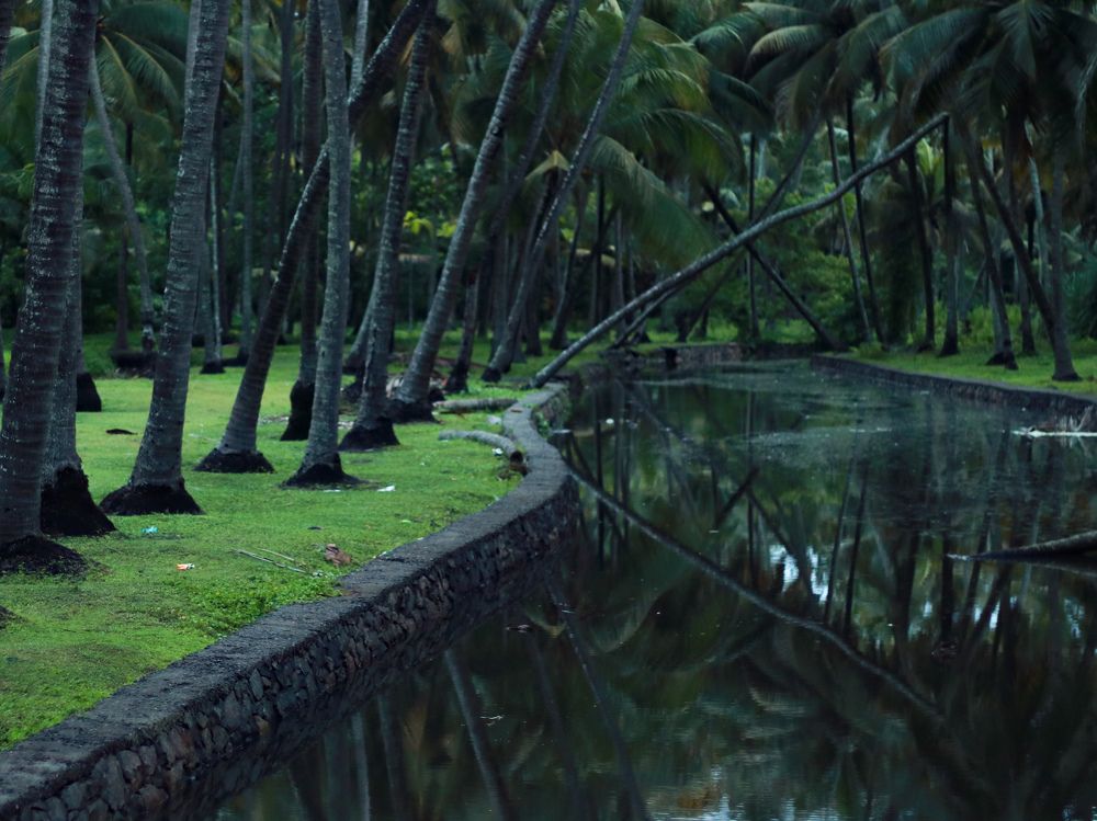 Photograph by Muhammed Junaid A P