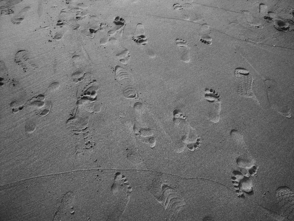 Фотография автора Ilyes Benaissa