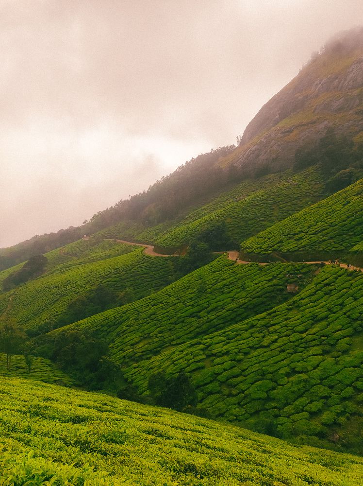 Photograph by Muhammed Junaid A P