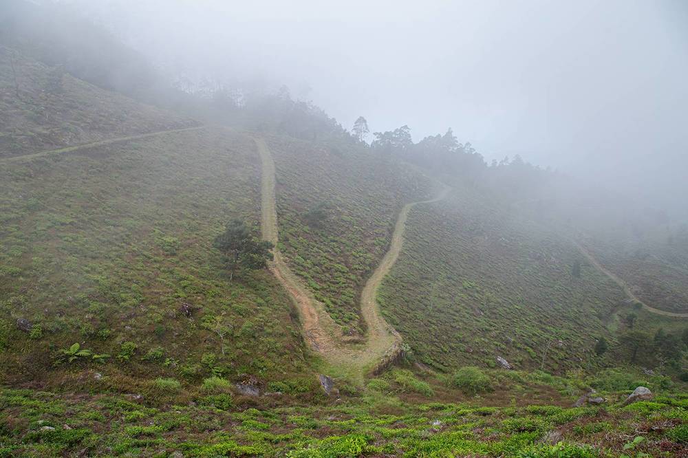 Фотография автора Laddu Sasindu Pramuditha De Silva
