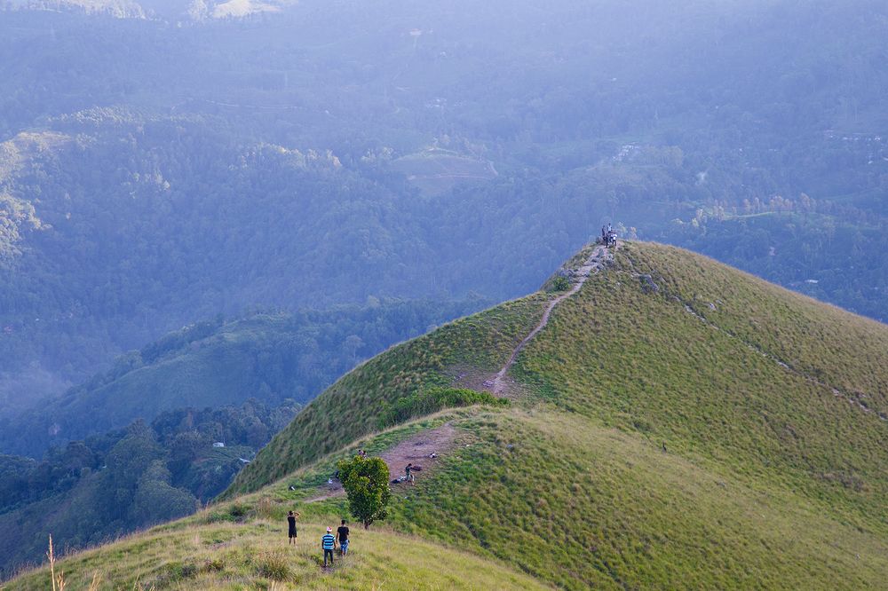 Фотография автора Laddu Sasindu Pramuditha De Silva