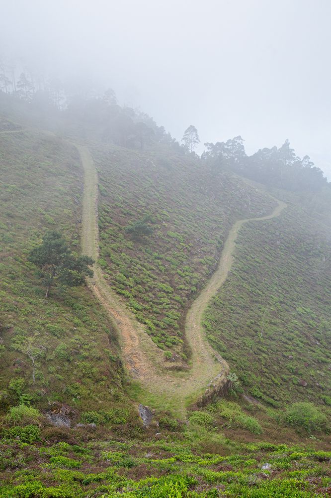 Фотография автора Laddu Sasindu Pramuditha De Silva