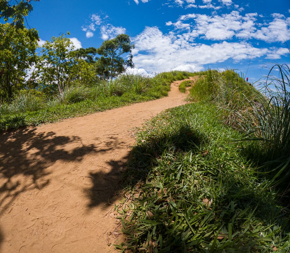 Фотография автора Laddu Sasindu Pramuditha De Silva