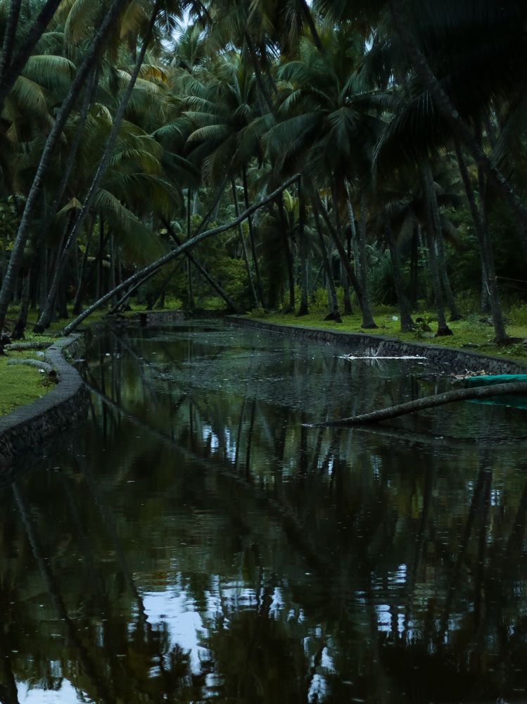 Photograph by Muhammed Junaid A P