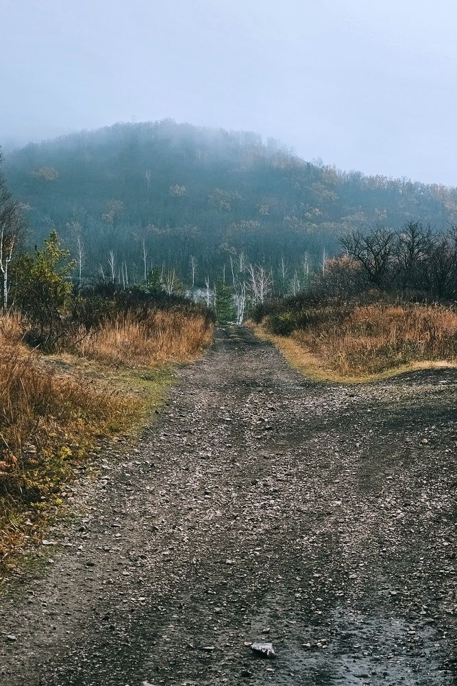 Photograph by Анна Григорьева