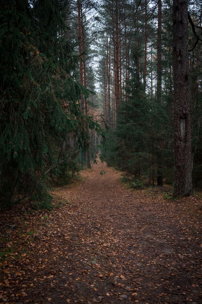 Photograph by Дарья Кончакова