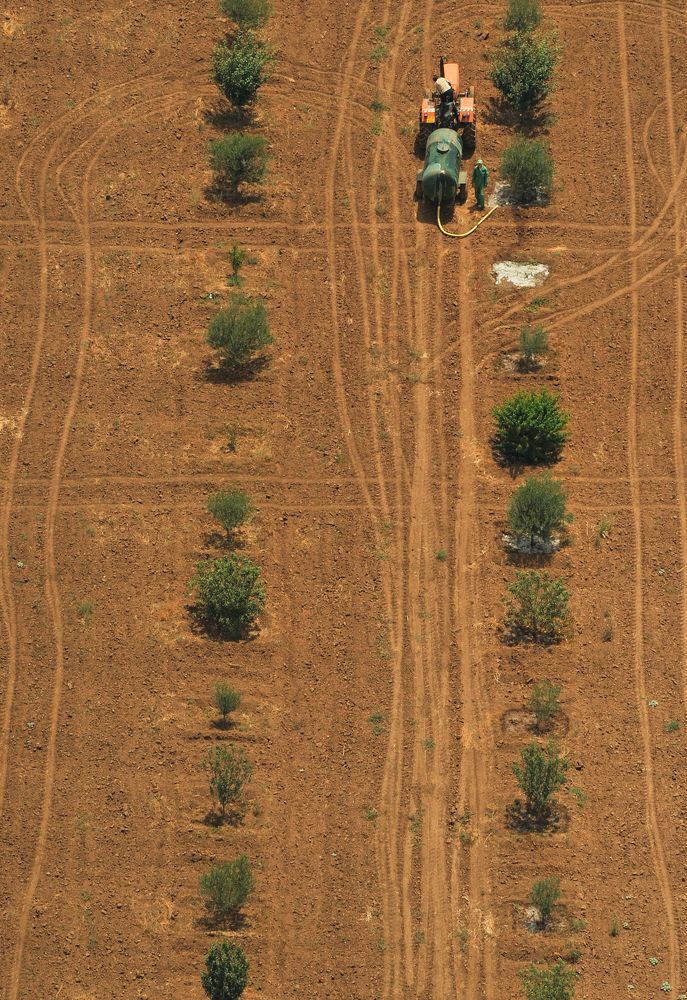 Photograph by Kaouche Mohamed