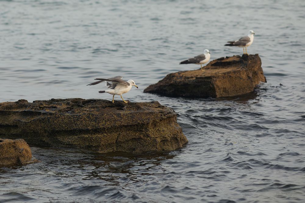 Photograph by Олег Мороз