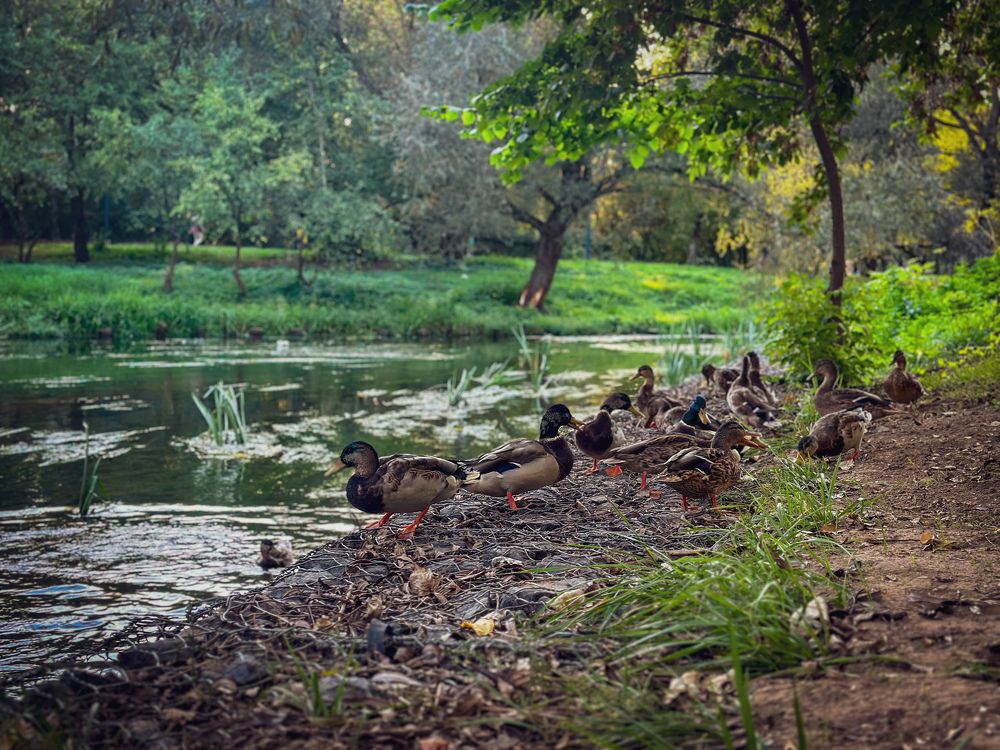 Photograph by Екатерина Слепнева